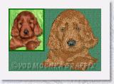 Irish_Puppy_Portrait * Irish Setter Puppy - Embroidery Portrait Sample - Vodmochka Graffix Portrait Embroidery Digitizing Services * 836 x 571 * (90KB)
