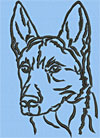 Belgian Malinois Portrait #2 - 6" Large Size Embroidery Design