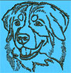 Bernese Mountain Dog Portrait #1 - 2" Small Size Emb Design Bernese Mountain Dog Portrait #1 - 2" Small Size Emb Design