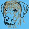 Rhodesian Ridgeback Portrait #2 -6" Large Size Embroidery Design