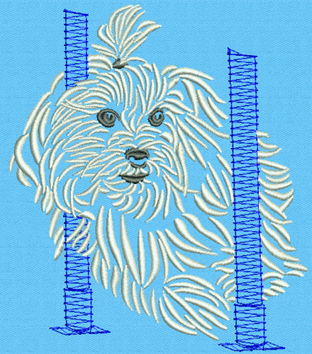 Maltese Agility #3 - 6" Large Size Embroidery Design - Click Image to Close