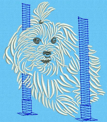 Maltese Agility #3 - 6" Large Size Embroidery Design - Click Image to Close