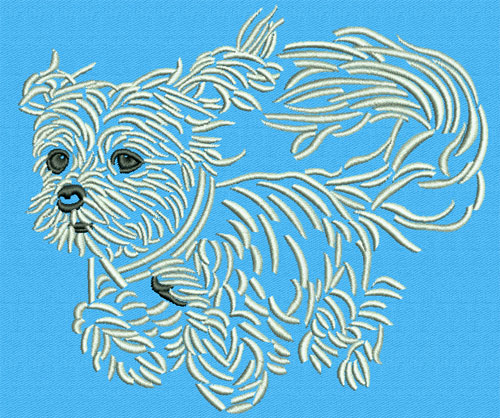 Maltese Agility #4 - 6" Large Size Embroidery Design - Click Image to Close