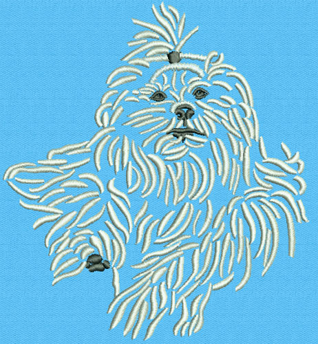 Maltese Agility #5 - 6" Large Size Embroidery Design - Click Image to Close