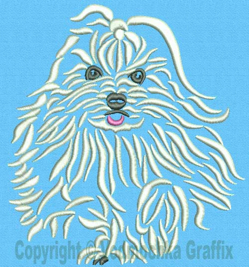 Maltese Agility #7 - 6" Large Size Embroidery Design - Click Image to Close