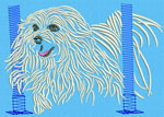 Maltese Agility #6 - 3" Medium Size Embroidery Design