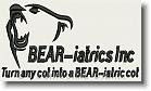 Bear-iatrics Bear Head - Embroidery Design Sample - Vodmochka Graffix Custom Embroidery Digitizing Services * 500 x 292 * (32KB)