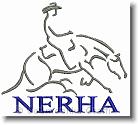 NERHA Horse Rider  - Embroidery Design Sample - Vodmochka Graffix Custom Embroidery Digitizing Services * 500 x 449 * (40KB)