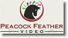 Peacock Feather Video - Embroidery Design Sample - Vodmochka Graffix Custom Embroidery Digitizing Services * 500 x 270 * (24KB)