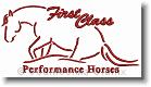 Performance Horses  - Embroidery Design Sample - Vodmochka Graffix Custom Embroidery Digitizing Services * 500 x 277 * (33KB)