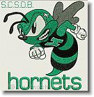 SCSDB Hornets - Embroidery Design Sample - Vodmochka Graffix Custom Embroidery Digitizing Services * 500 x 512 * (82KB)