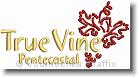 True Vine Pentecostal - Embroidery Design Sample - Vodmochka Graffix Custom Embroidery Digitizing Services * 500 x 268 * (33KB)