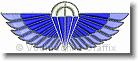 SAS Para Wings - Embroidery Design Sample - Vodmochka Graffix Custom Embroidery Digitizing Services * 500 x 206 * (35KB)