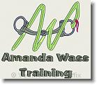 Amanda Wass Training - Embroidery Design Sample - Vodmochka Graffix Custom Embroidery Digitizing Services * 500 x 442 * (46KB)