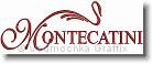 Montecatini - Embroidery Design Sample - Vodmochka Graffix Custom Embroidery Digitizing Service * 500 x 189 * (13KB)