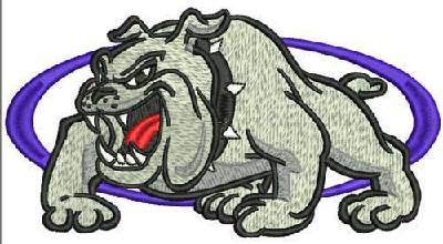 Custom Embroidery Digitizing Picture