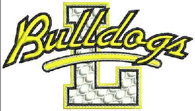 Custom Embroidery Digitizing Picture