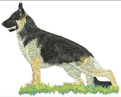 Custom Embroidery Digitizing Picture