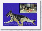 German_Shepherd_Moving_Dual * German Shepherd Moving Dual - Embroidery Portrait Sample - Vodmochka Graffix Portrait Embroidery Digitizing Services * 895 x 614 * (73KB)