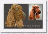 Irish_Portrait_1 * Irish Setter #1 - Embroidery Portrait Sample - Vodmochka Graffix Portrait Embroidery Digitizing Services * 881 x 568 * (70KB)