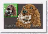 Irish_Setter_and_Bird * Irish Setter with Bird - Embroidery Portrait Sample - Vodmochka Graffix Portrait Embroidery Digitizing Services * 889 x 575 * (98KB)