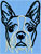 Boston Terrier Embroidery Designs