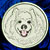 Samoyed Lover Gifts by Vodmochka Graffix