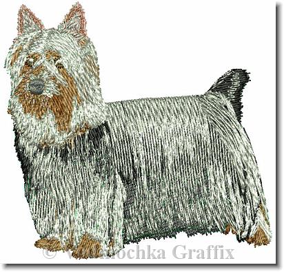 Click for the original image